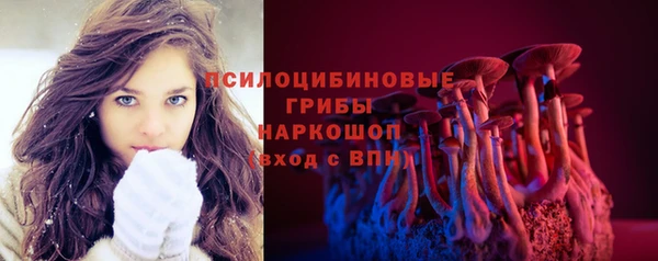 spice Алзамай