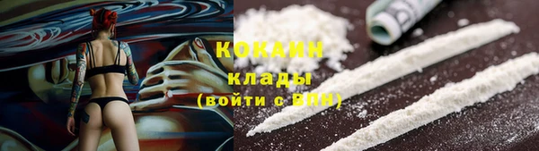 spice Алзамай