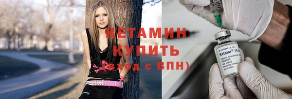 трава Коряжма