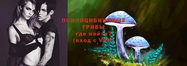 spice Алзамай