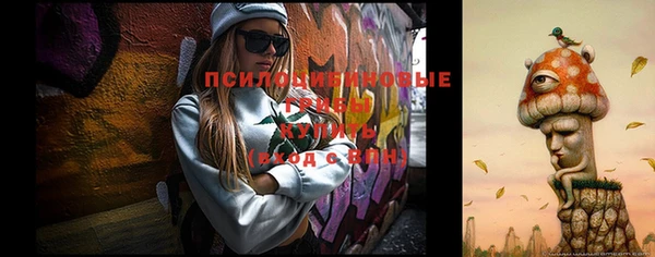 MDMA Premium VHQ Корсаков