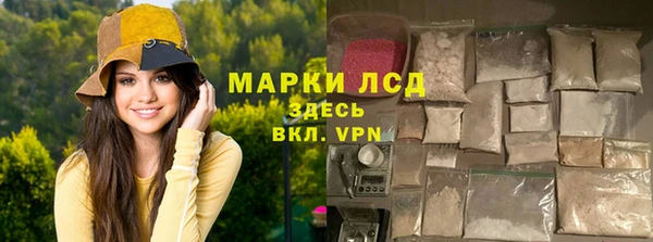 трава Коряжма